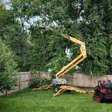 Best Emergency Tree Removal  in Kayak Point, WA